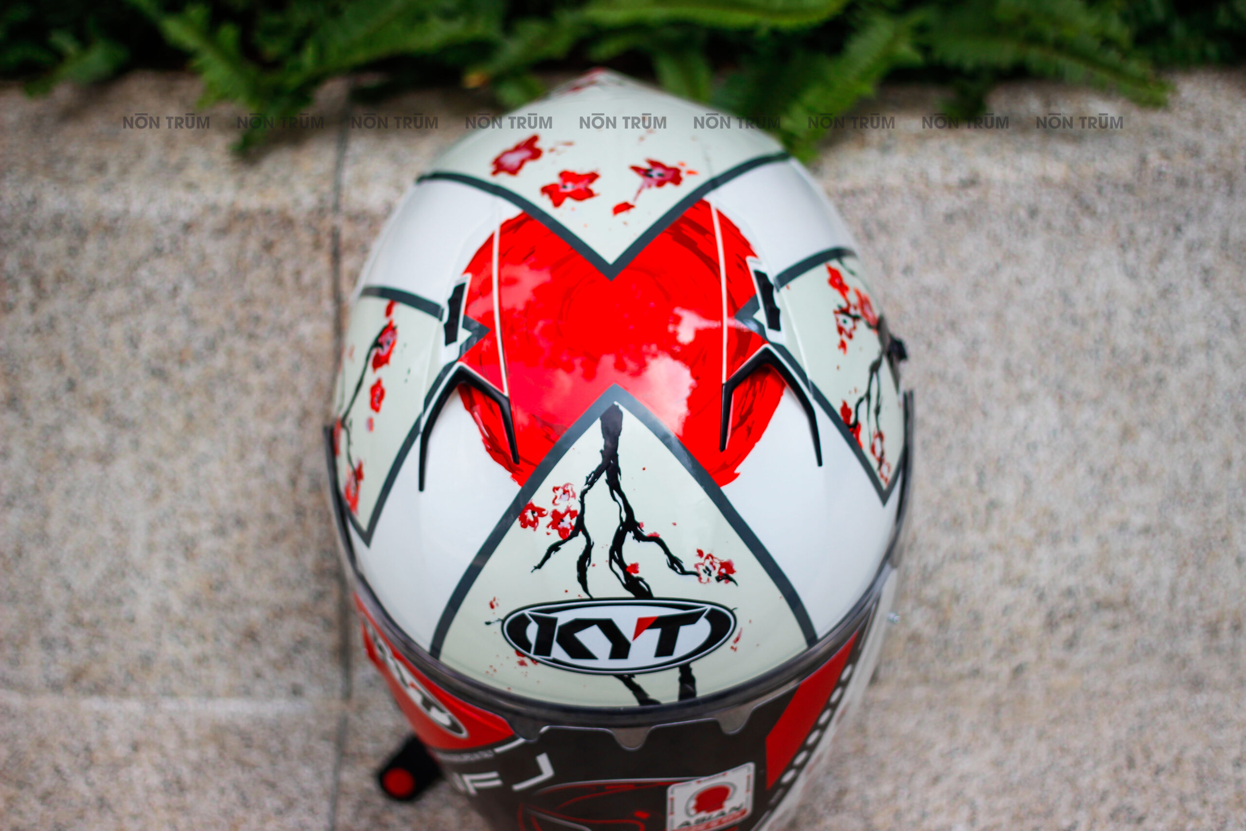 kyt nfj xavi sakura